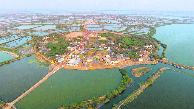 చల్లని తల్లి.. కొల్లేటి పెద్దింట్లమ్మ 1