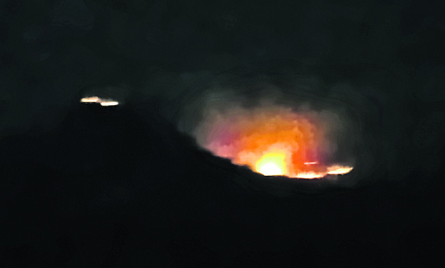 50 చీనీ చెట్లు దగ్ధం 1