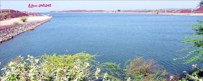 ● ఎంతో లబ్ధి 1