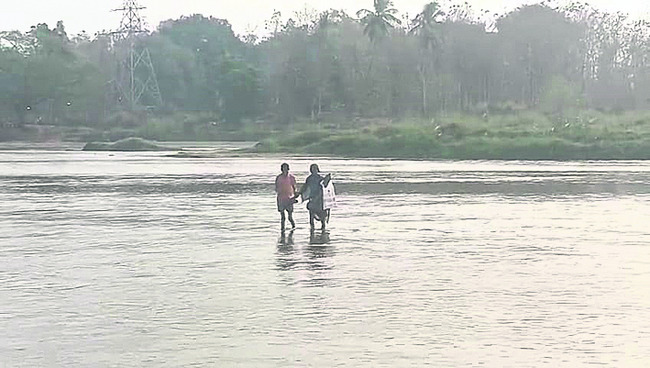 ● మనవడి కోసం..  అవ్వ సాహసం.. 1