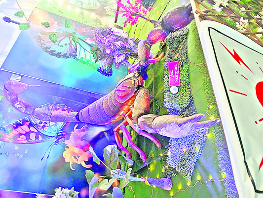 చిట్టి బుర్రలు.. గట్టి చేతలు1