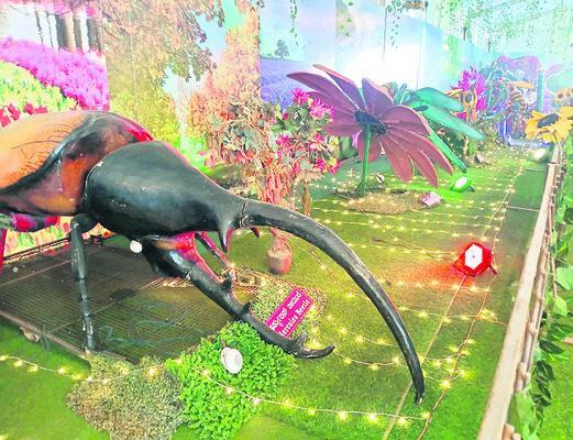 చిట్టి బుర్రలు.. గట్టి చేతలు3