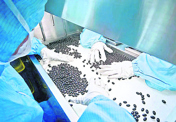 మైసూరుపై మత్తు మచ్చ1