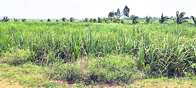 ● కక్ష సాధింపు 1