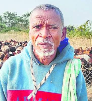 గొర్రె ఎరువు భూమికి బలం 
1