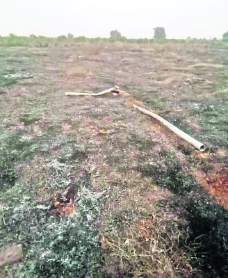 2 వేల అరటి చెట్లు దగ్ధం 1