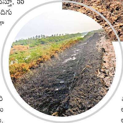 తవ్వుకో... అమ్ముకో..! 1