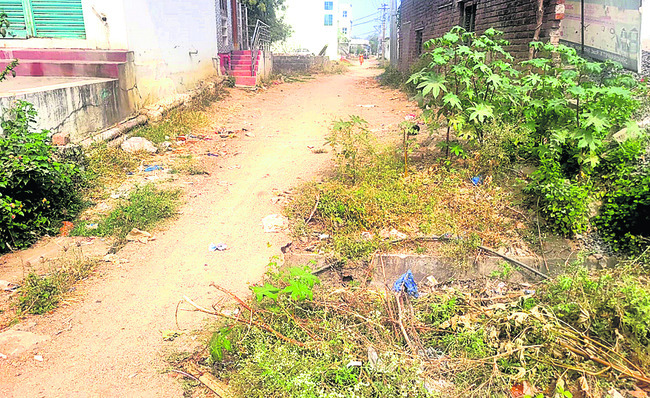 పట్టణంలో చిక్కిన పల్లెలు1