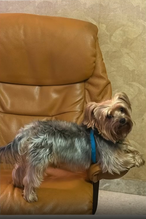 Actor Aadi pinisetty wife Nikki galrani shares January Month Memories Photos7