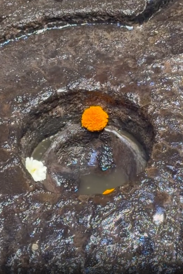 Actress Ananya Panday visits Trimbakeshwar Jyotirlinga Temple PHotos11