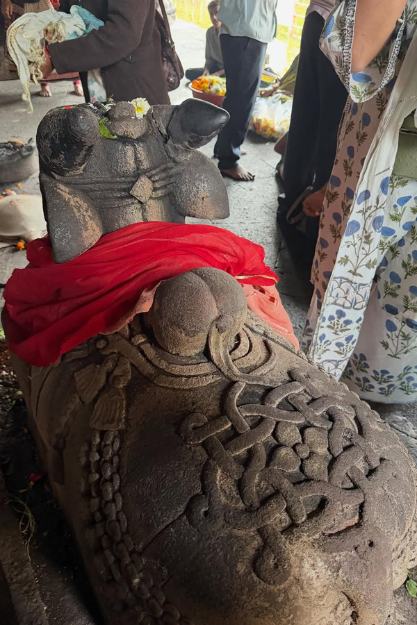 Actress Ananya Panday visits Trimbakeshwar Jyotirlinga Temple PHotos6