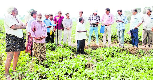 వృద్ధుల ఆవేధన7