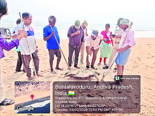 ఉచితం.. అత్యల్పం!2