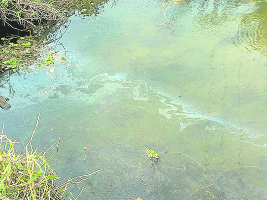 కోనపై కాలుష్యం కాటు1