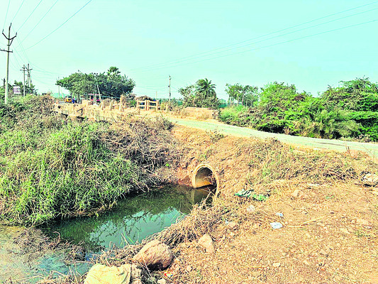 కోనపై కాలుష్యం కాటు2