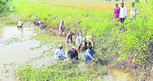 ఉపాధి.. హతవిధీ!1