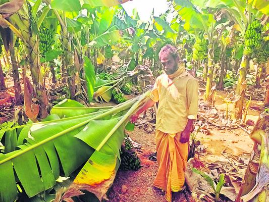 కలెక్టర్‌ను కలిసిన గ్రూప్‌–1 విజేత 1