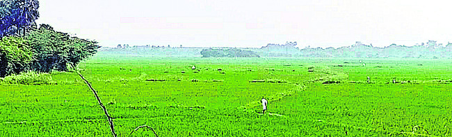 ఐదు దశాబ్దాలుగా నిరీక్షణ 
2