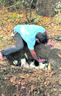 రాష్ట్రస్థాయి బెంచ్‌ ప్రెస్‌ పోటీల్లో రజతం 
1