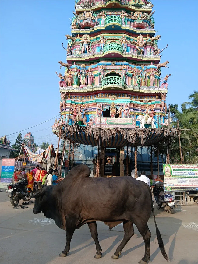 Sri Vasavi kanyaka parameswari temple Penugonda20