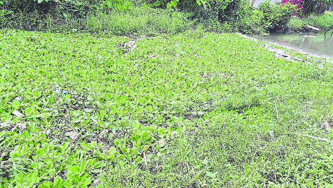 గోదావరి సా..గుతోంది!1