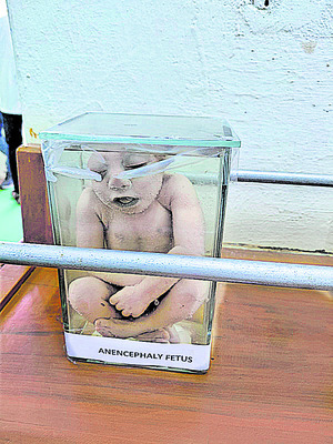 మెడికల్‌ ఎగ్జిబిషన్‌ ప్రారంభం 2