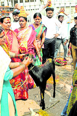 వేడెక్కిన ఓరుగల్లు5