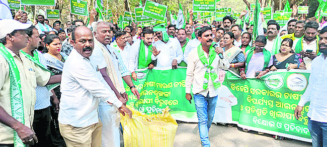 ధాన్యం కొనుగోలులో ప్రభుత్వం విఫలం1
