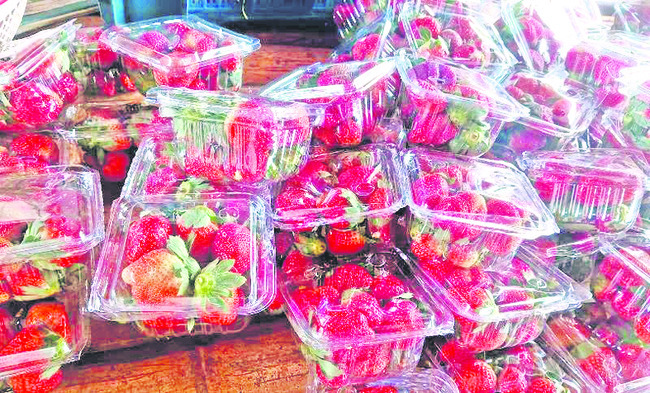 స్ట్రాబెర్రీ2