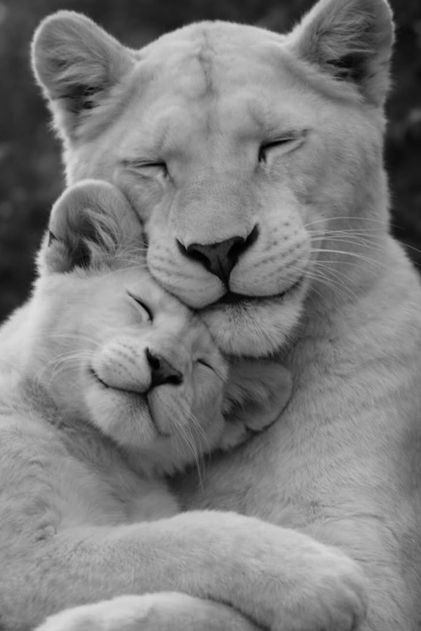 Actress Sreeleela wishing Her mother with cutest pics on Her Birthday PHotos7