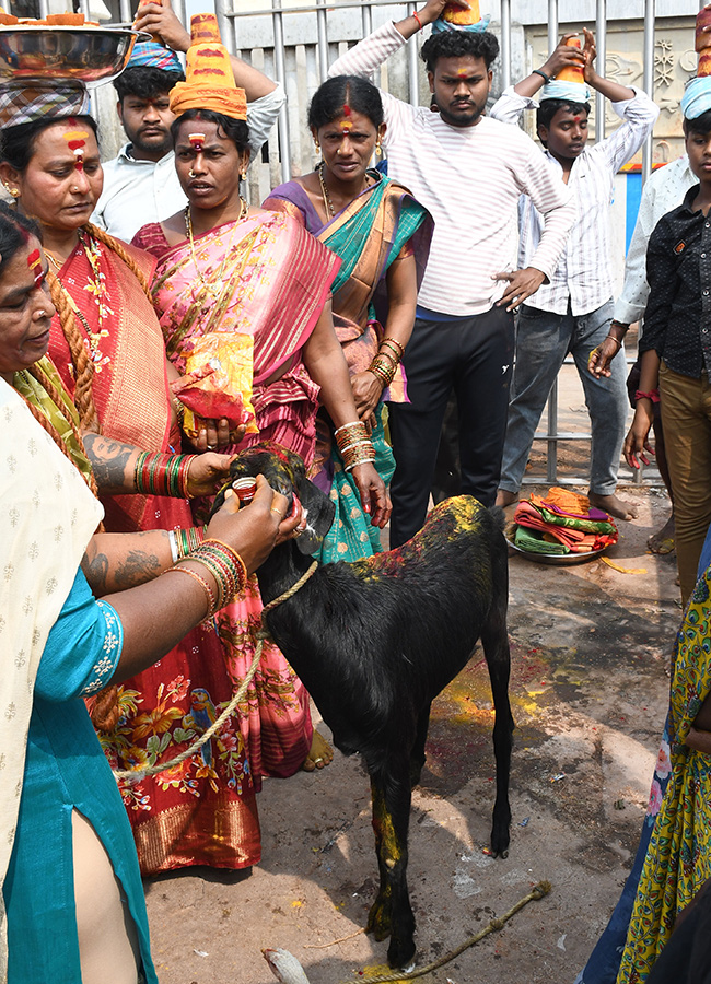 Devotional : Medaram Sammakka Sarakka Jatara 2026 HD Photos22