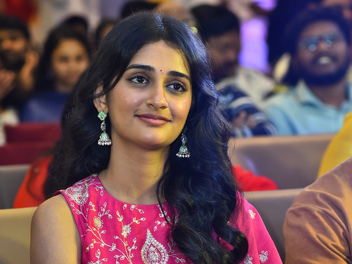 Sri Chidambaram Garu Pre Release Event HD Photos21