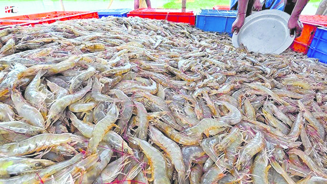 దక్కని ఆధరవు3