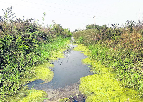 నిర్వహణకు నీళ్లొదిలారు1