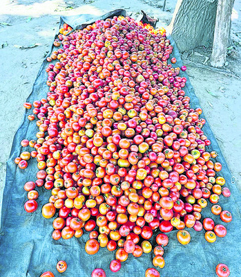 నిర్ణీత గడువులోగా సమస్యలు పరిష్కరించాలి : జేసీ1