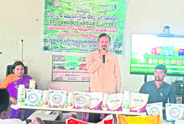 పూత దశలో పురుగు మందులు వాడొద్దు 
2