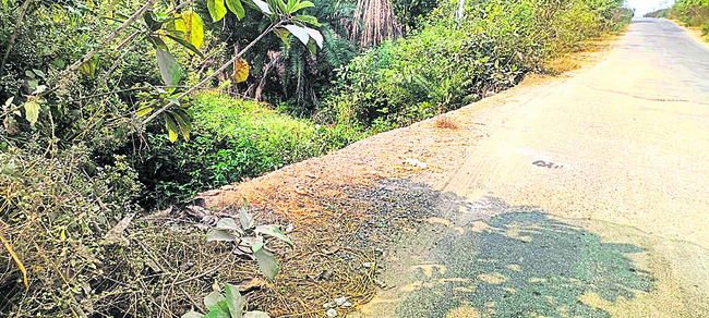 కుమురం భీం2