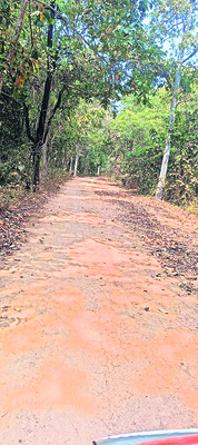 దారి ఇలా.. వెళ్లేదెలా?
1