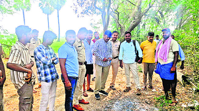 వామ్మో పెద్దపులి!2