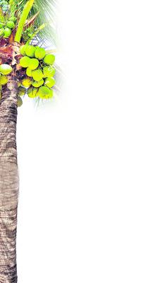 దక్కని ఆధరవు1