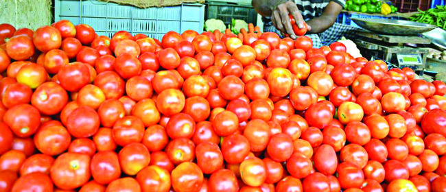 మరోసారి నేలచూపు1