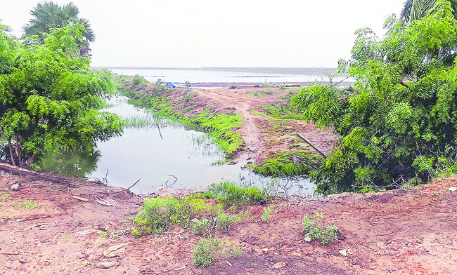 దొంగే దొంగ అన్నట్టు!1