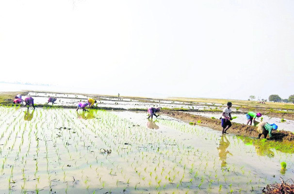 రాష్ట్రస్థాయి పోటీలకు ఎంపిక  
2