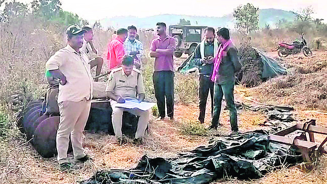 పులి.. ఒకటా? రెండా?2