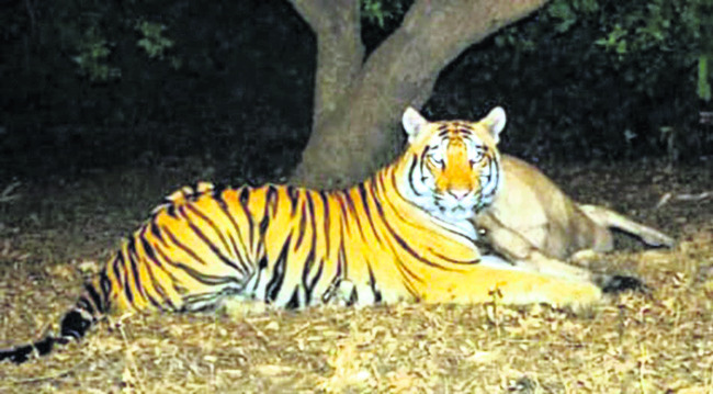 తెలంగాణలో మొదలై.. ‘తూర్పు’లో ముగిసి.. 1