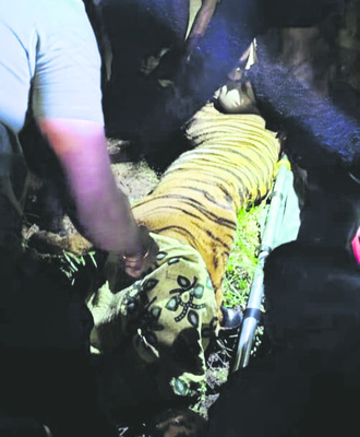 గాండ్రింపు ఆగింది.. 2