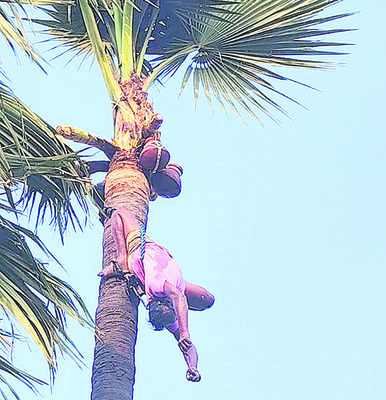 కల్లుగీస్తూ    గుండెపోటుతో మృతి1