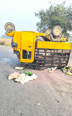 ఆటో బోల్తా: పలువురికి గాయాలు 1