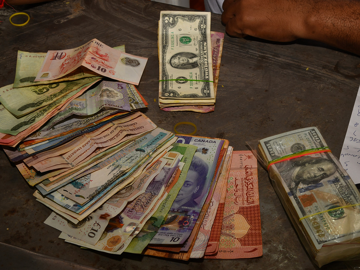 Medaram Sammakka Sarakka Hundi Counting Photos14