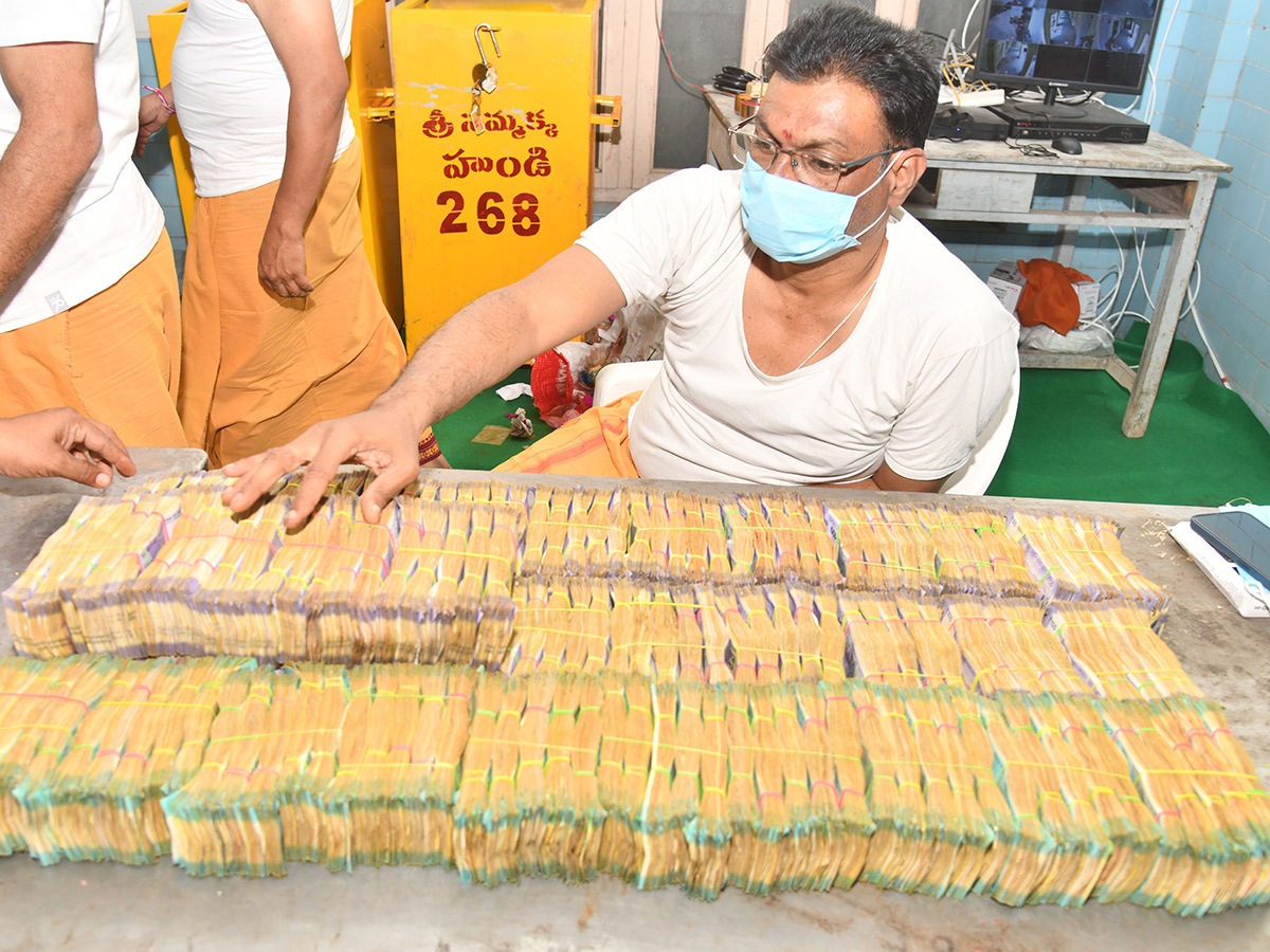 Medaram Sammakka Sarakka Hundi Counting Photos19